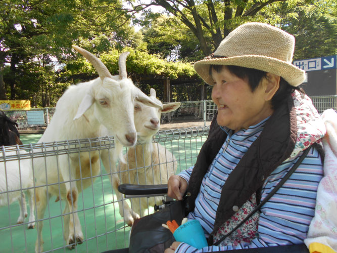 平塚総合公園