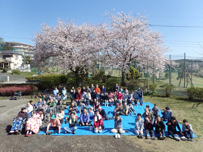 桜の木の下で