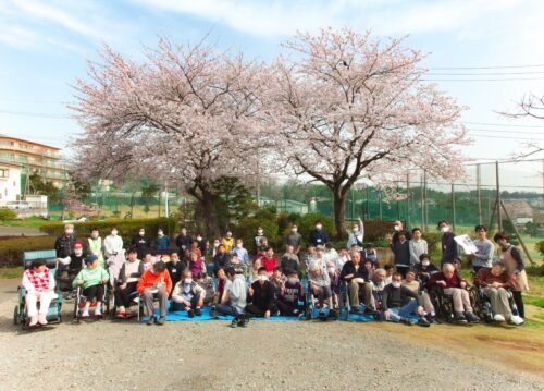 桜の木の下で